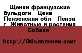 Щенки французские бульдоги › Цена ­ 18 000 - Пензенская обл., Пенза г. Животные и растения » Собаки   
